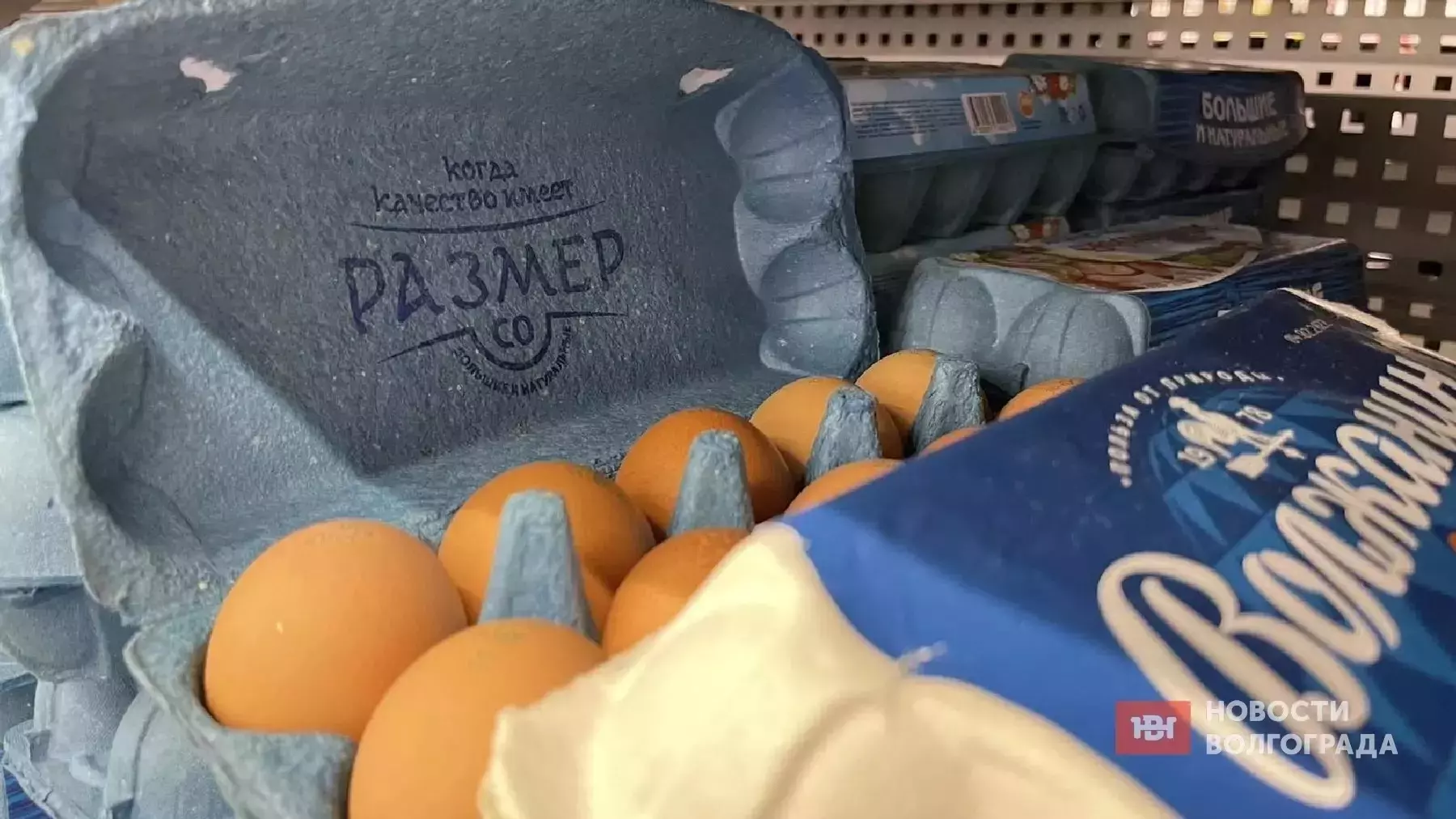 Куриные яйца разоряют волгоградские школы