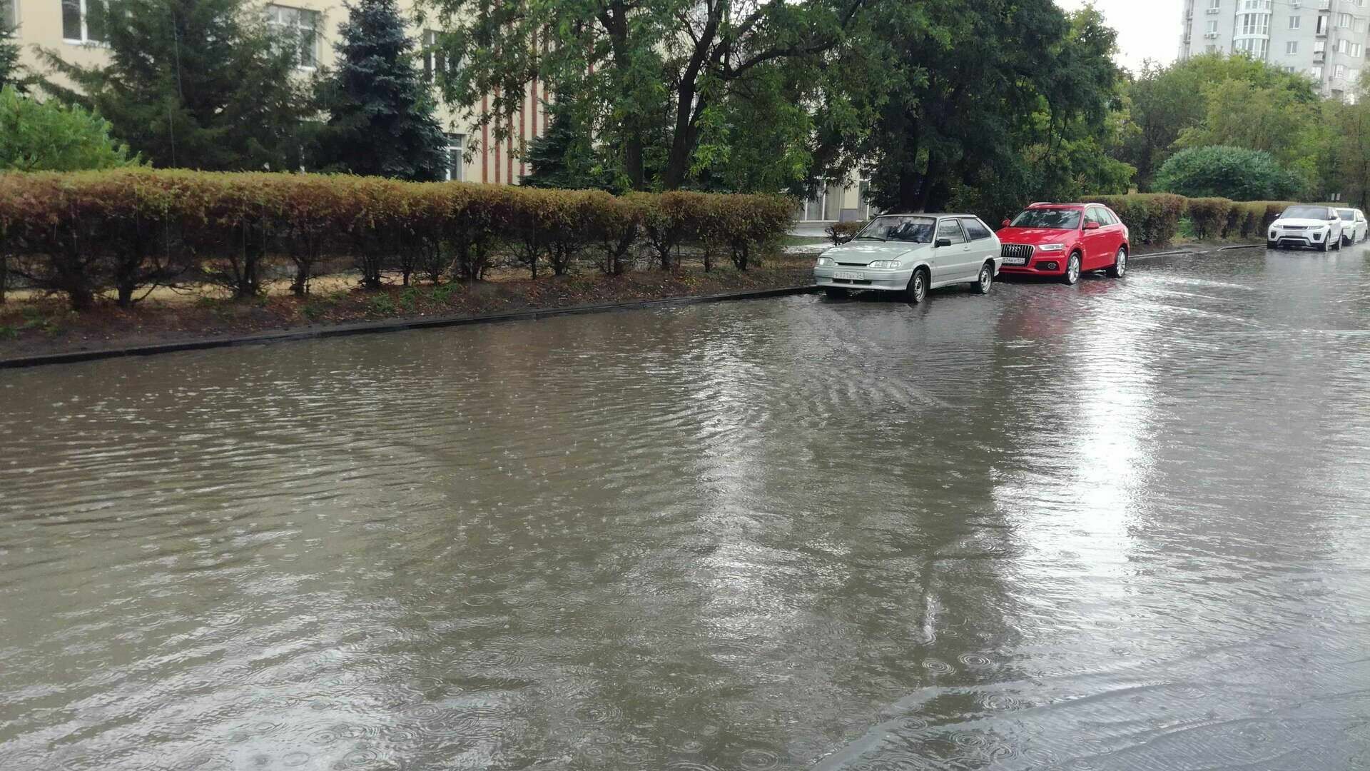 Всеволгоградский потоп