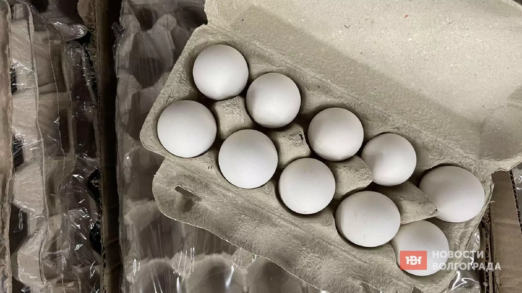 Десяток яиц снова стоит больше 130 рублей